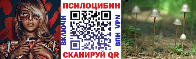 Галлюциногенные грибы мицелий  Анжеро-Судженск 